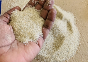 Silica Sand Market Report, Size, Demand, Trends and Outlook 2023-2028